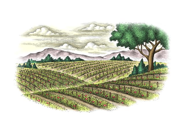 tomato fields art color